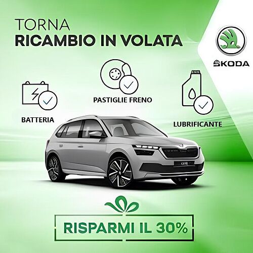 RICAMBI IN VOLATA 2025 